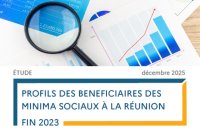 Profils des bénéficiaires des minina sociaux à La Réunion fin 2023