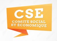 Campagne régionale de contrôle relative aux comités sociaux et économiques (CSE)