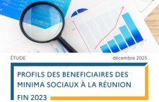 Profils des bénéficiaires des minina sociaux à La Réunion fin 2023