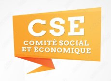Campagne régionale de contrôle relative aux comités sociaux et économiques (CSE)