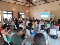 Les premiers comités de pilotage du PRITH Réunion 2024-2025 affichent complets